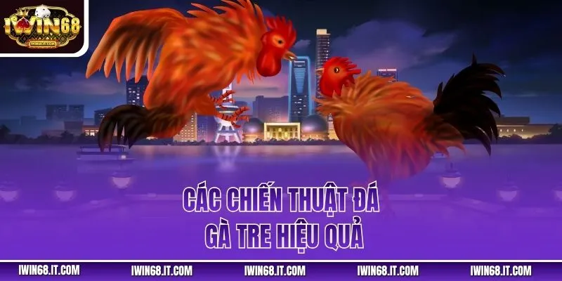 Các chiến thuật đá gà tre hiệu quả