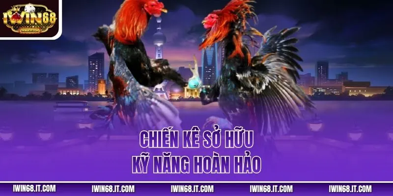 Chiến kê sở hữu kỹ năng hoàn hảo