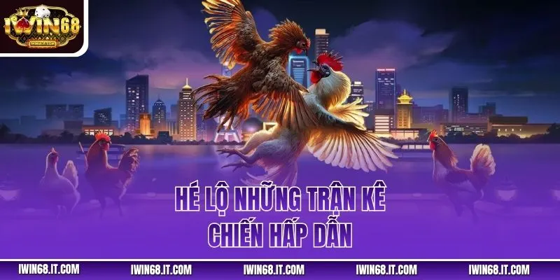 Hé lộ những trận kê chiến hấp dẫn